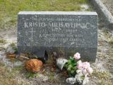 image of grave number 761056
